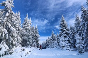 skiing